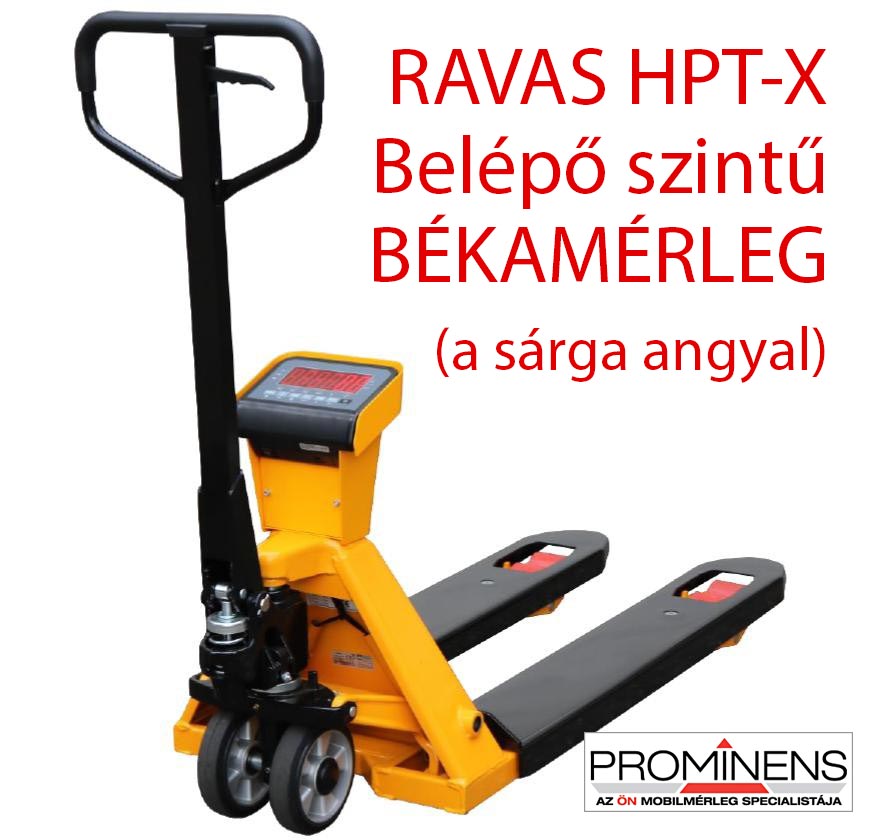 hpt x bekamerleg